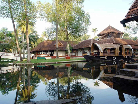 Coconut Lagoon Top Lead