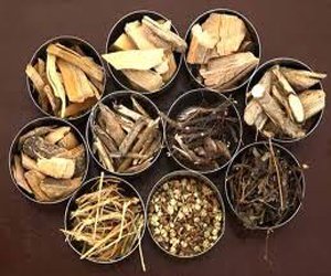 Kalari Rasyana Medicines