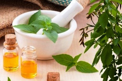 Kalari Rasayana Image