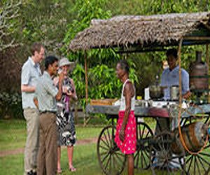 marari beach resort alappuzha