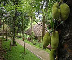 spice village resort