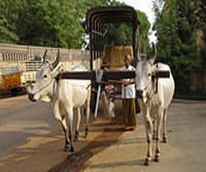 visalam heritage hotel